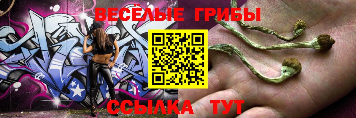 купить наркотик  Вход с VPN  Алапаевск  Галлюциногенные грибы прущие грибы 