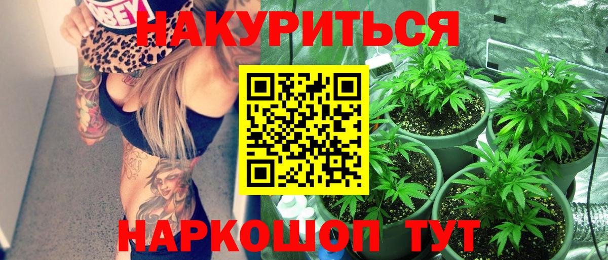 Конопля гибрид Алапаевск